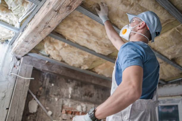 Best Specialized Insulation Services in Boiling Springs, NC