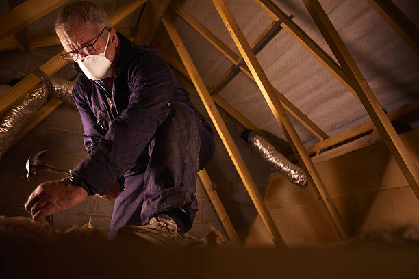 Best Cellulose Insulation in Boiling Springs, NC
